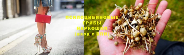 дживик Михайловка